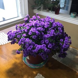 Meet your Posher, Madhumitha